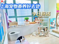 -SOHO复兴广场-C座