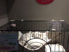 -津菜宋记老房子(鼓楼店)