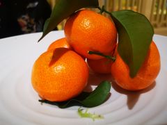 -大鸭梨烤鸭(房山店)