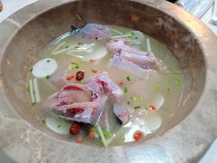 石锅鱼-七采菌园·野生菌石锅鱼(环城北路店)