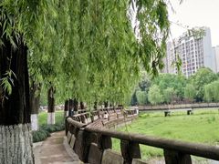 -温江公园