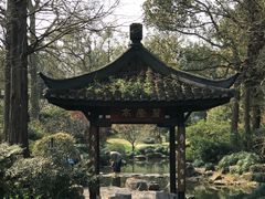-山外山菜馆(玉泉路店)