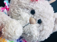-星巴克(汇京国际广场店)