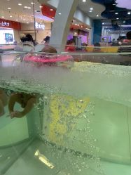 -贝凯雅婴儿游泳SPA(华东万和城店)