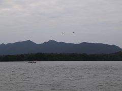 -西湖游船