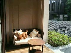 android_upload_pic-上海崇明金茂凯悦酒店