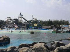 -秦皇岛乐岛海洋王国