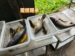 -姥家大锅台水库渔家