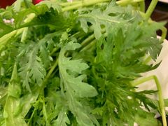 蒿子秆金针菇鲜豆皮-蝎王府羊蝎子(天通苑店)