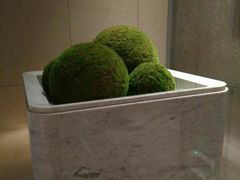 -客莱福诺富特酒店·互动餐厅