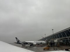 -全日本空输株式会社(上海办事处)
