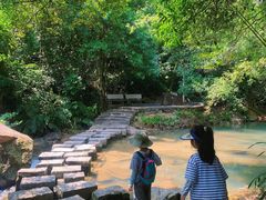 -广州白江湖森林公园