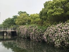 -尚贤河湿地