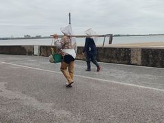 -北海金海湾红树林生态旅游区