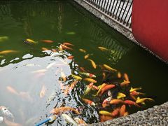 -成都动物园