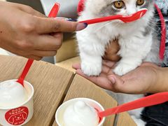 -DQ·蛋糕·冰淇淋(五角场万达店)