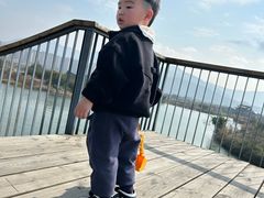 -三垟湿地