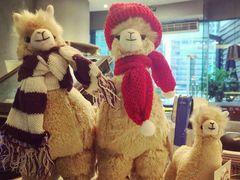 -Gloria Jean's Coffees