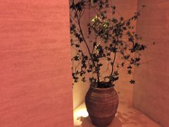 -舒小悦·舒养SPA·古法推拿(光环中心店)