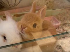 -龙猫仔乐园(惠福东路店)