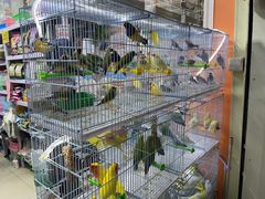 -三旗百汇商品城