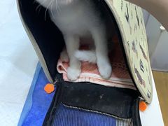 -pd派德宠物中心医院24H急重症·眼科中心·血液透析中心(嵩山北路店)