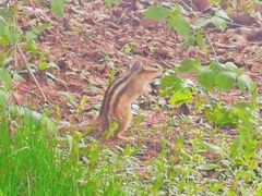 -长春公园(普阳街道)