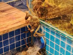 -焰江山海鲜牛排烤肉自助(锦华万达二星店)
