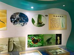 -上海昆虫博物馆