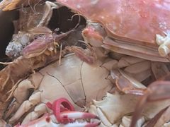 -半岛听涛蒸汽海鲜自助(K11店)