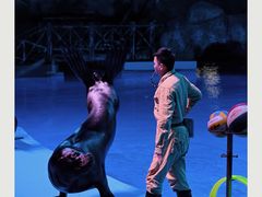 -芜湖新华联大白鲸海洋公园