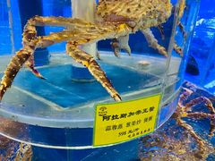 -新海渔港·胶东海鲜家常菜·家宴(奥体中心店)