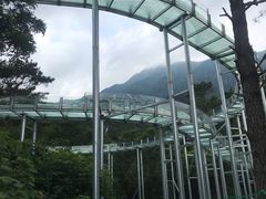 -牛鱼嘴原始生态风景区