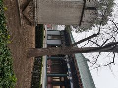 -国家图书馆·古籍馆