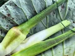 -梁鸿国家湿地公园