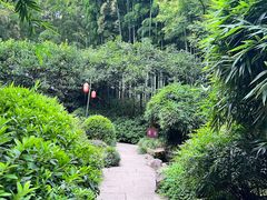 -杭州黄龙洞
