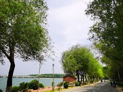 -丁香湖公园