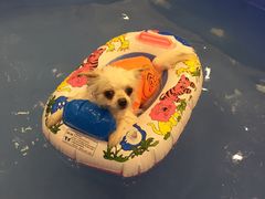 -可蒙动物医院·猫科·骨科中心(首义路店)