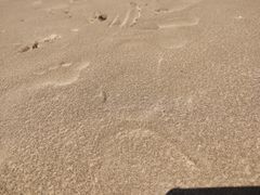 -珠海金沙滩