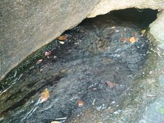 -安徽工业大学(秀山校区)