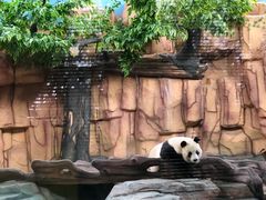 -泉州海丝野生动物世界