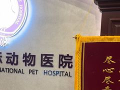 -宠爱国际动物医院·疑难骨科·心肾内科·皮肤科(太阳宫店)