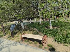 -元大都城垣遗址公园