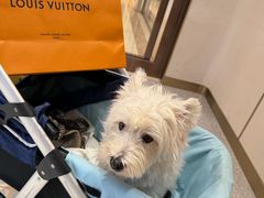 -LV路易威登(海信广场店)