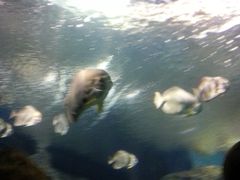 -上海海洋水族馆