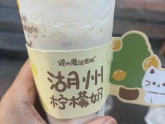 -猫的魔法密林(衣裳街店)