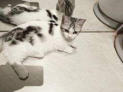 -seeu coffee(江滩店)