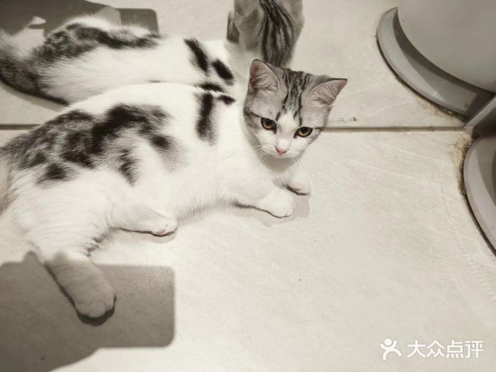 seeu coffee(江滩店)图片