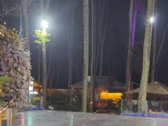 -二荆条·蜀鲜汇城市森林火锅