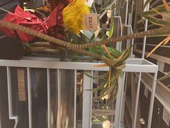 -湊湊火锅·茶憩(皇姑万象汇店)